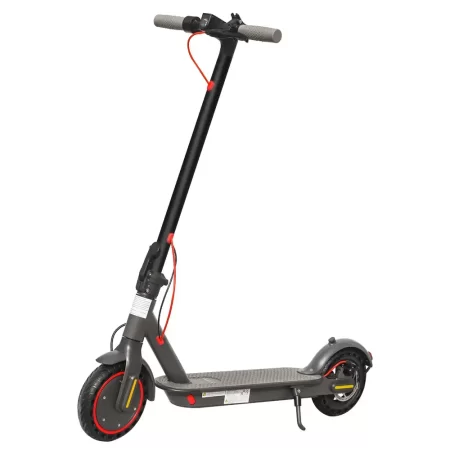 rent e-scooter
